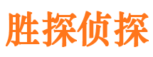 类乌齐侦探公司